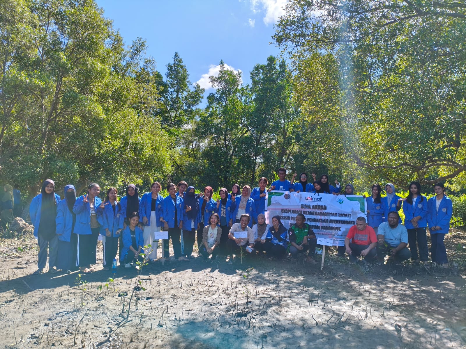 Mahasiswa Pendidikan Biologi UNIMOF Tanam Mangrove di Nangahale, Dukung Terwujudnya Desa Wisata Mangrove